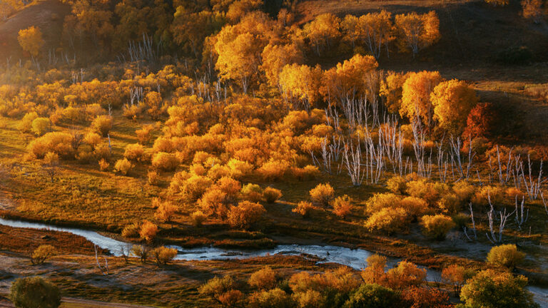 Zhuang Li - 大美新疆